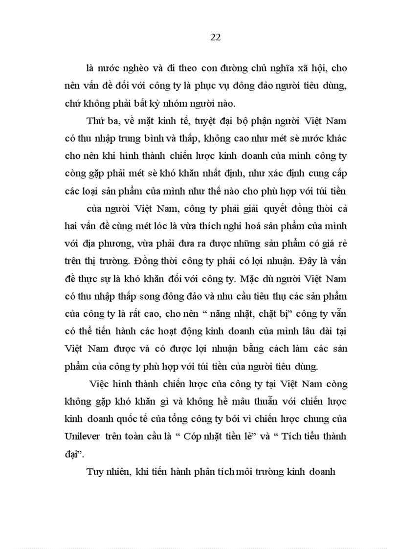 image for page Chiến lược kinh doanh của Công ty Unilever Việt Nam