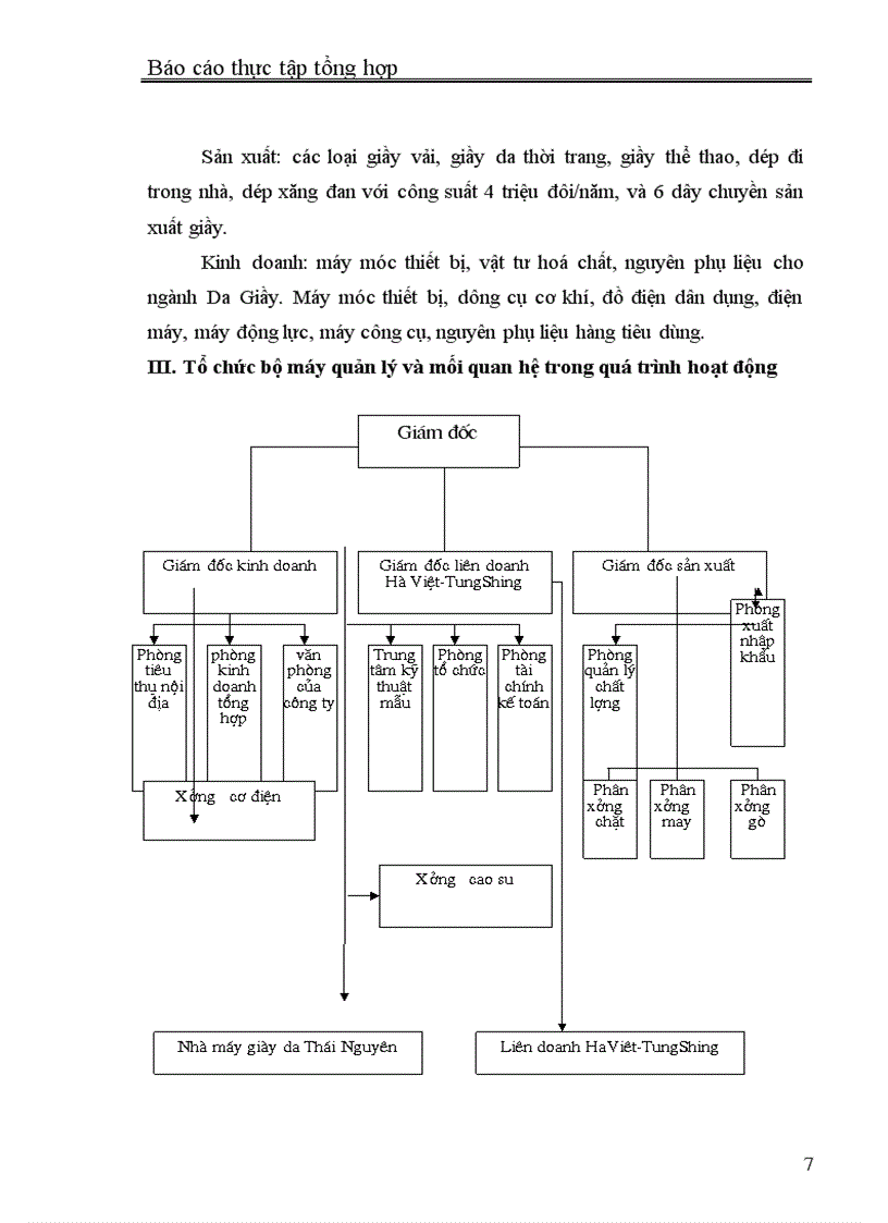 image for page Báo cáo thực tập tổng hợp tại Công ty Da giày Hà Nội