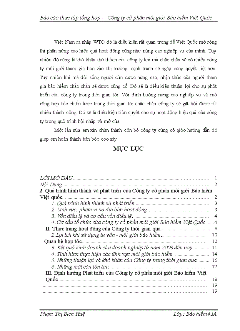image for page Báo cáo tổng hợp - công ty cổ phần môi giới Bảo hiểm Việt Quốc