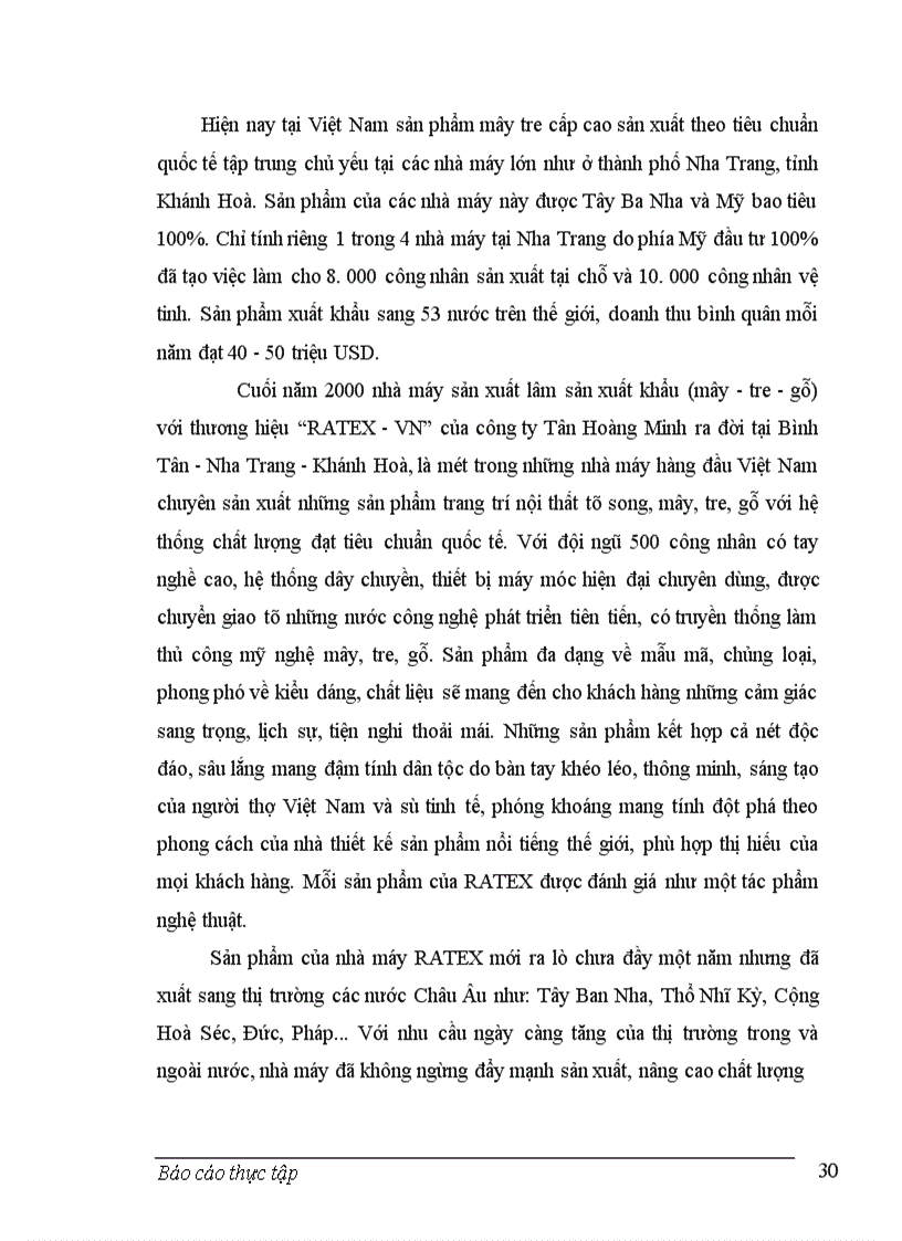 image for page Báo cáo thực tập tại công ty Tân Hoàng Minh.