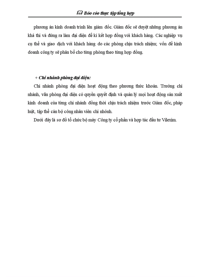 image for page Báo cáo thực tập tổng hợp Công ty cổ phần xuất nhập khẩu và hợp tác đầu tư Vilexim