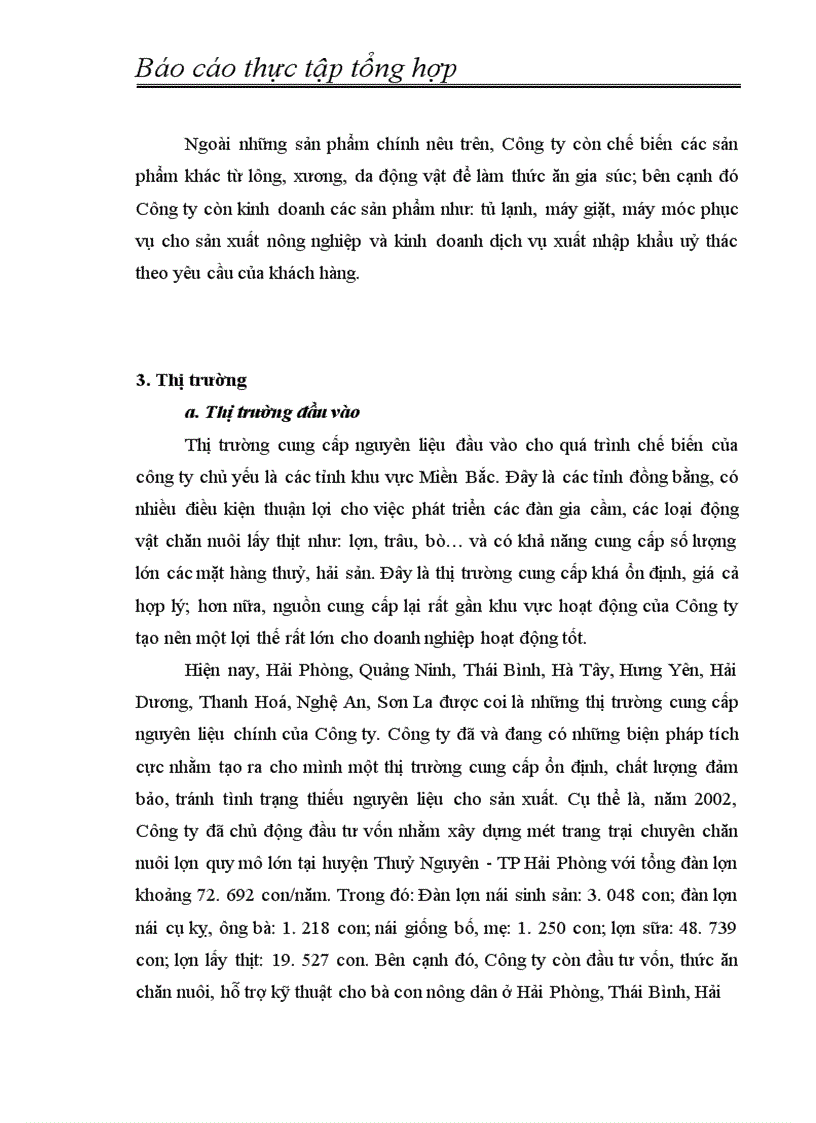 image for page Báo cáo thực tập tổng hợp tại Công ty XNK