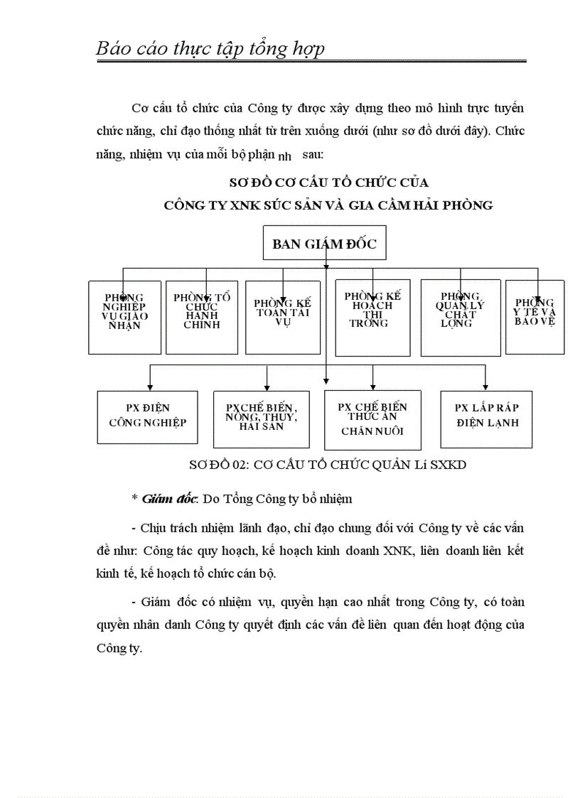 image for page Báo cáo thực tập tổng hợp tại Công ty XNK