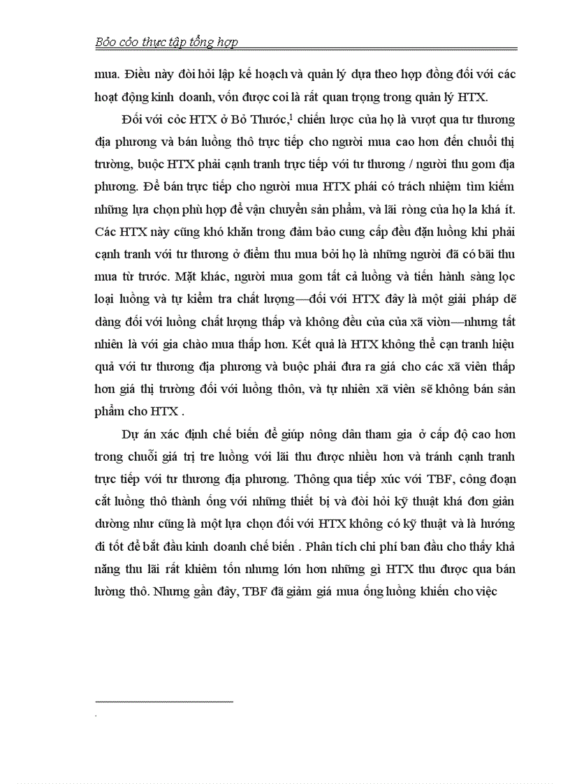 image for page Thực tập tổng hợp về tổ chức CECI và Dự án ILMC