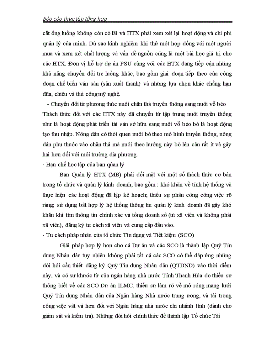 image for page Thực tập tổng hợp về tổ chức CECI và Dự án ILMC