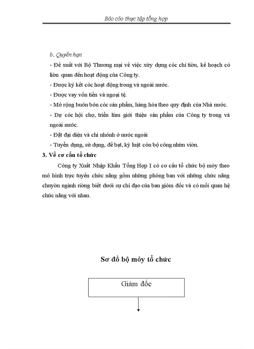 image for page Thực tập tổng hợp về CÔNG TY XUẤT NHẬP KHẨU TỔNG HỢP I