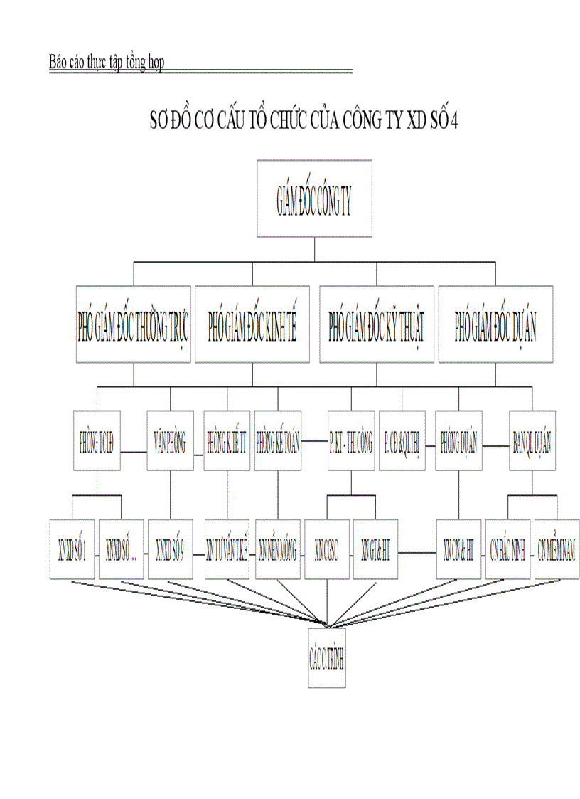 image for page Thực tập tổng hợp về công ty xây dựng số 4