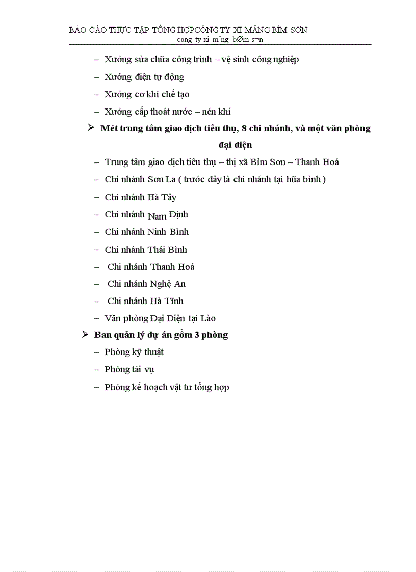 image for page Thực tập tổng hợp công ty xi măng bỉm sơn