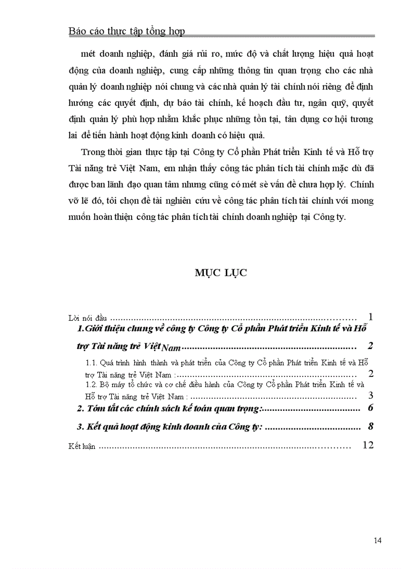 image for page Thực tập tổng hợp về Công ty Cổ phần Phát triển Kinh tế và Hỗ trợ Tài năng trẻ Việt Nam.