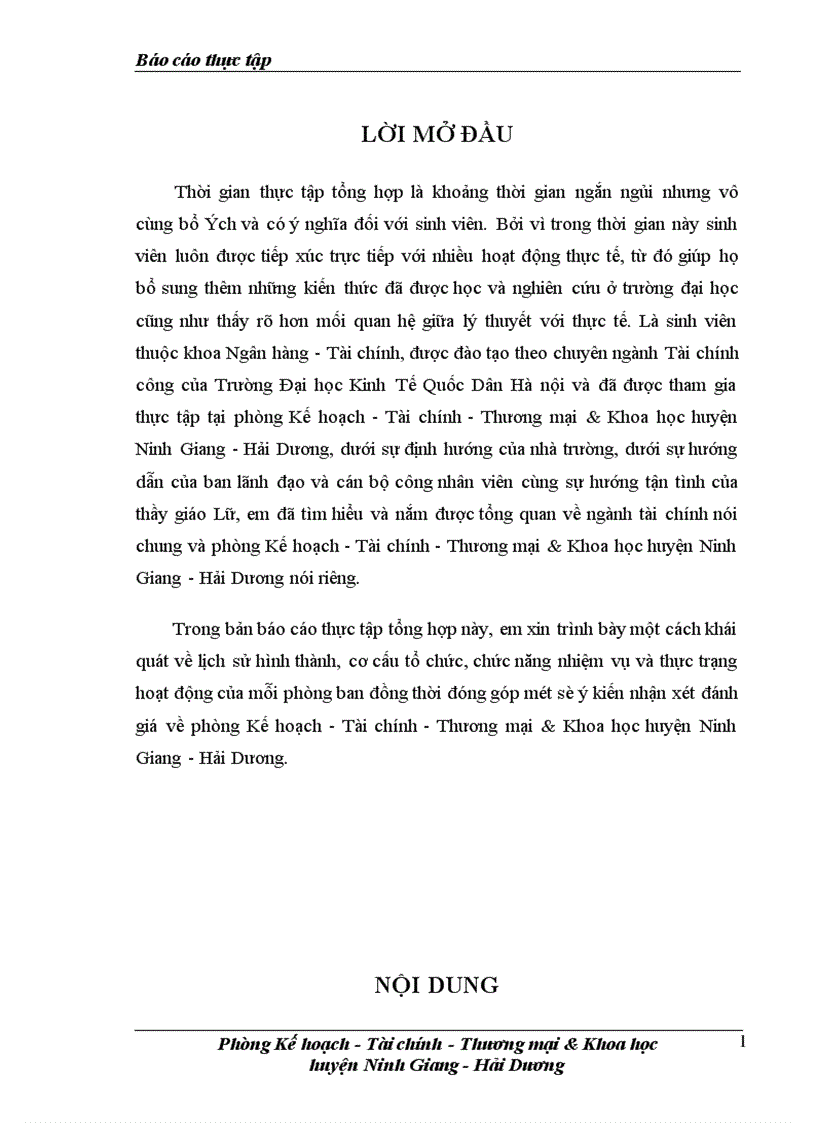 Báo cáo thực tập về phòng Kế hoạch - Tài chính - Thương mại & Khoa học huyện Ninh Giang - Hải Dương.
