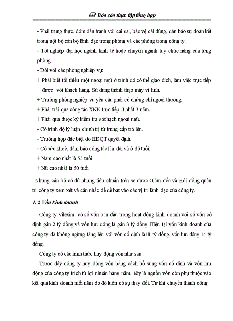 image for page Báo cáo thực tập tổng hợp về Công ty cổ phần xuất nhập khẩu và hợp tác đầu tư Vilexim