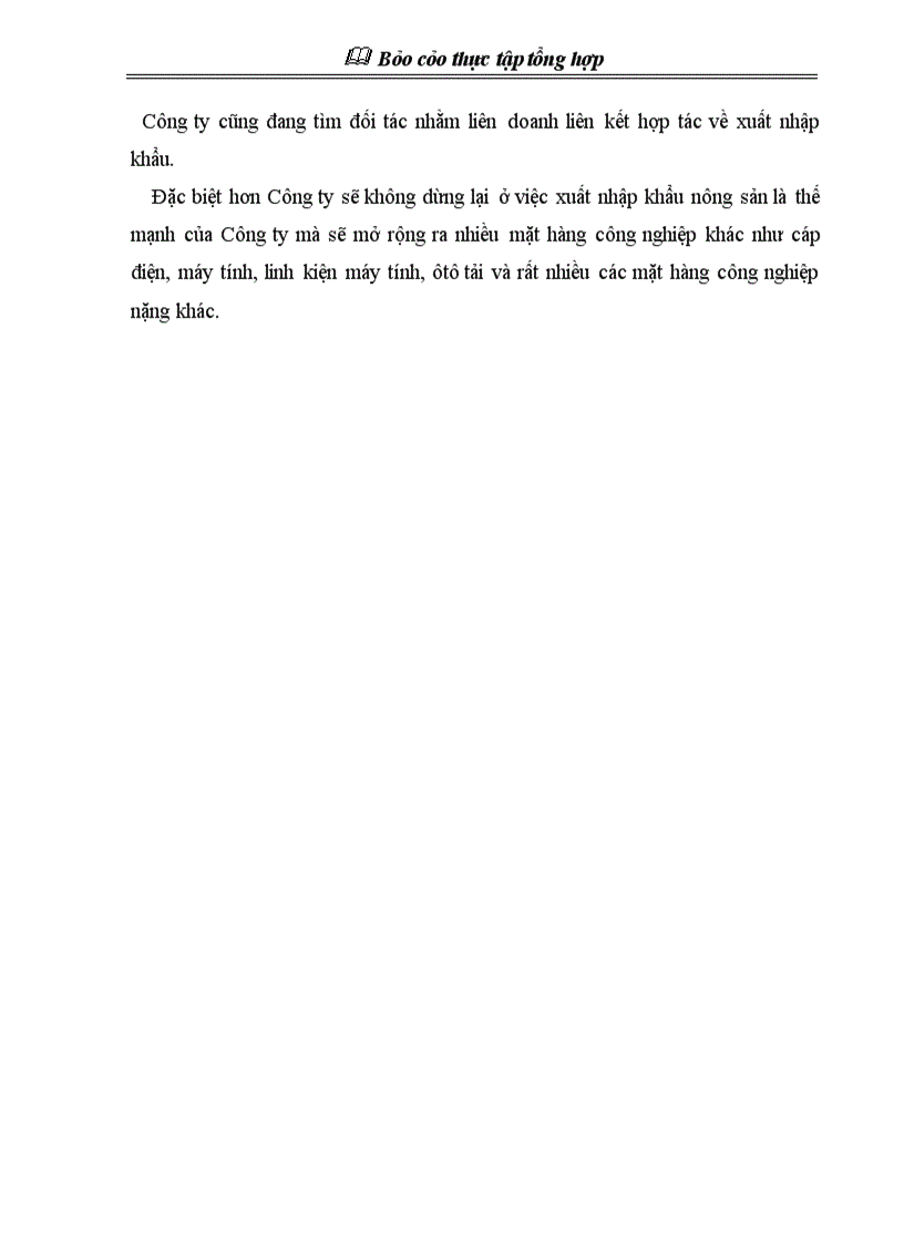 image for page Báo cáo thực tập tổng hợp về Công ty cổ phần xuất nhập khẩu và hợp tác đầu tư Vilexim