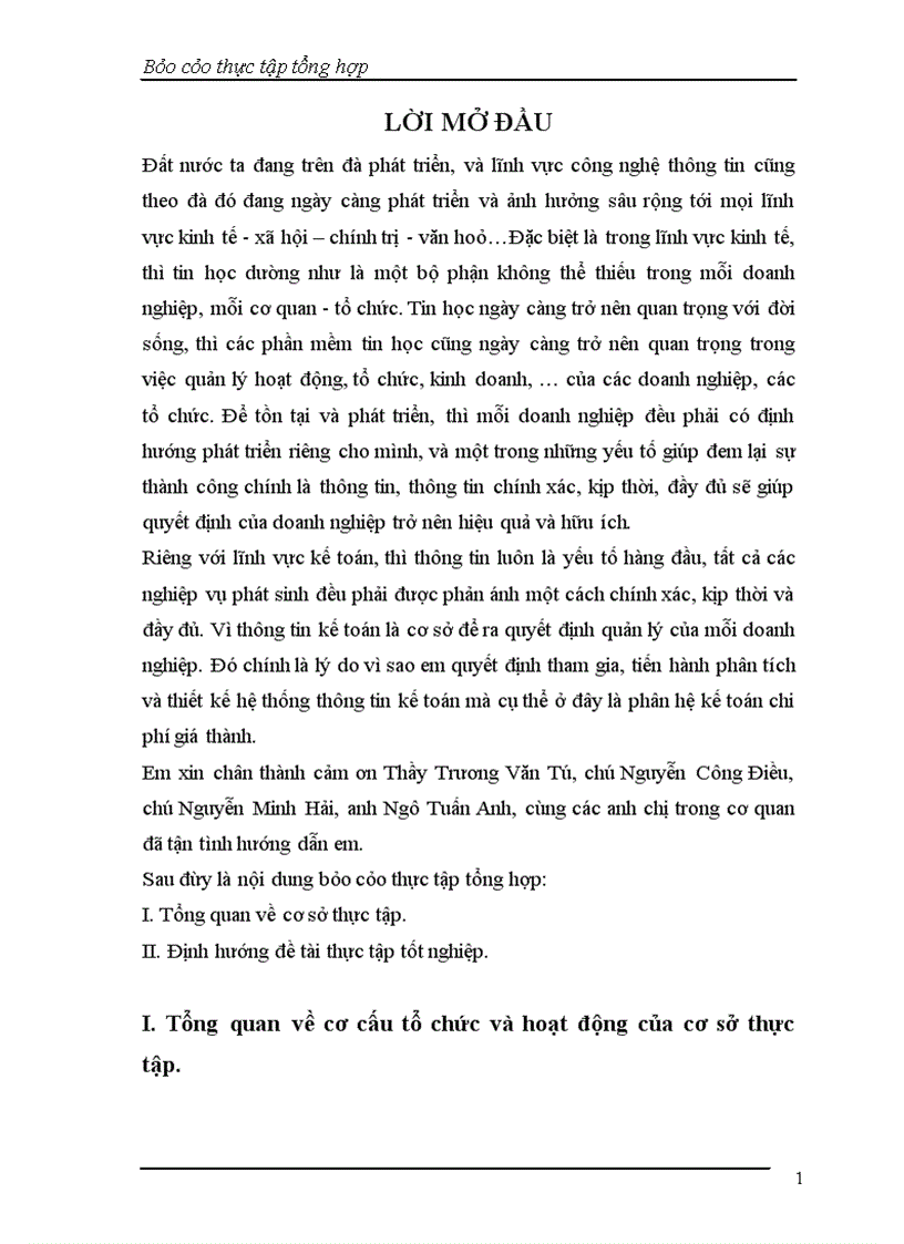 image for page Báo cáo thực tập tại Công ty Cổ Phần Tin học Tân Dân.