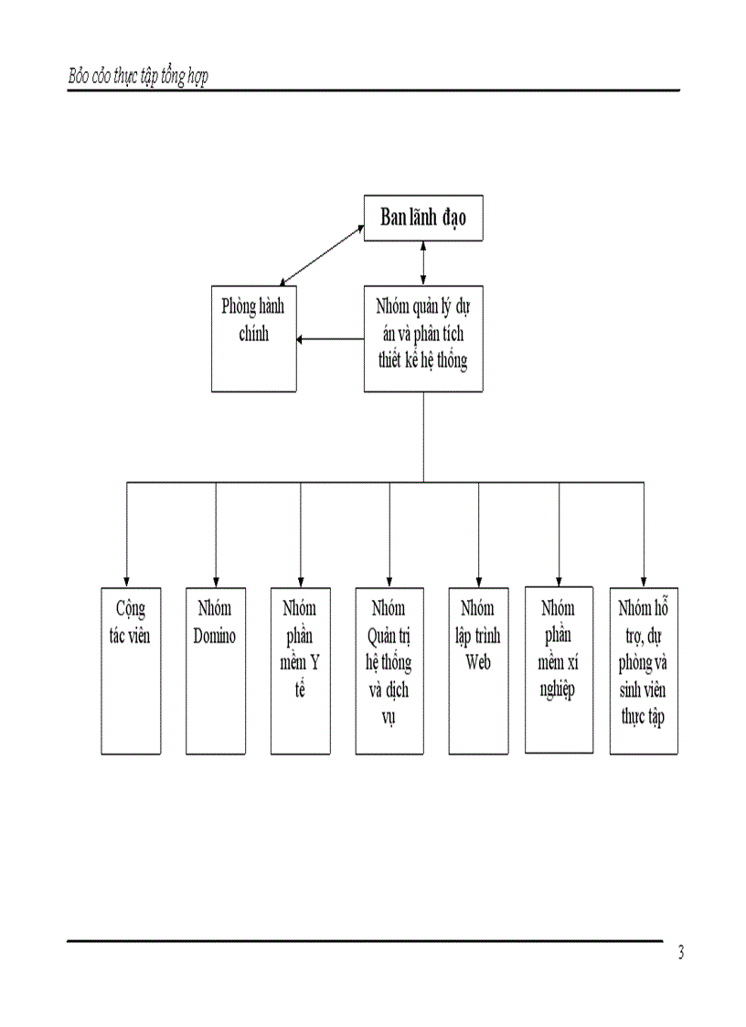image for page Báo cáo thực tập tại Công ty Cổ Phần Tin học Tân Dân.