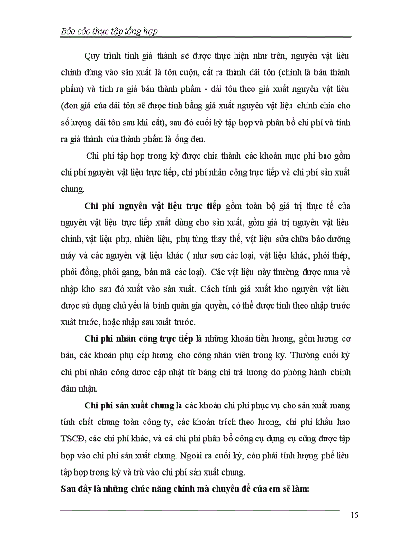 image for page Báo cáo thực tập tại Công ty Cổ Phần Tin học Tân Dân.