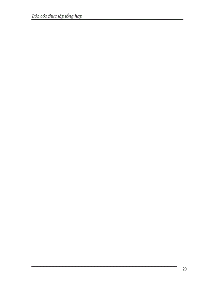 image for page Báo cáo thực tập tại Công ty Cổ Phần Tin học Tân Dân.