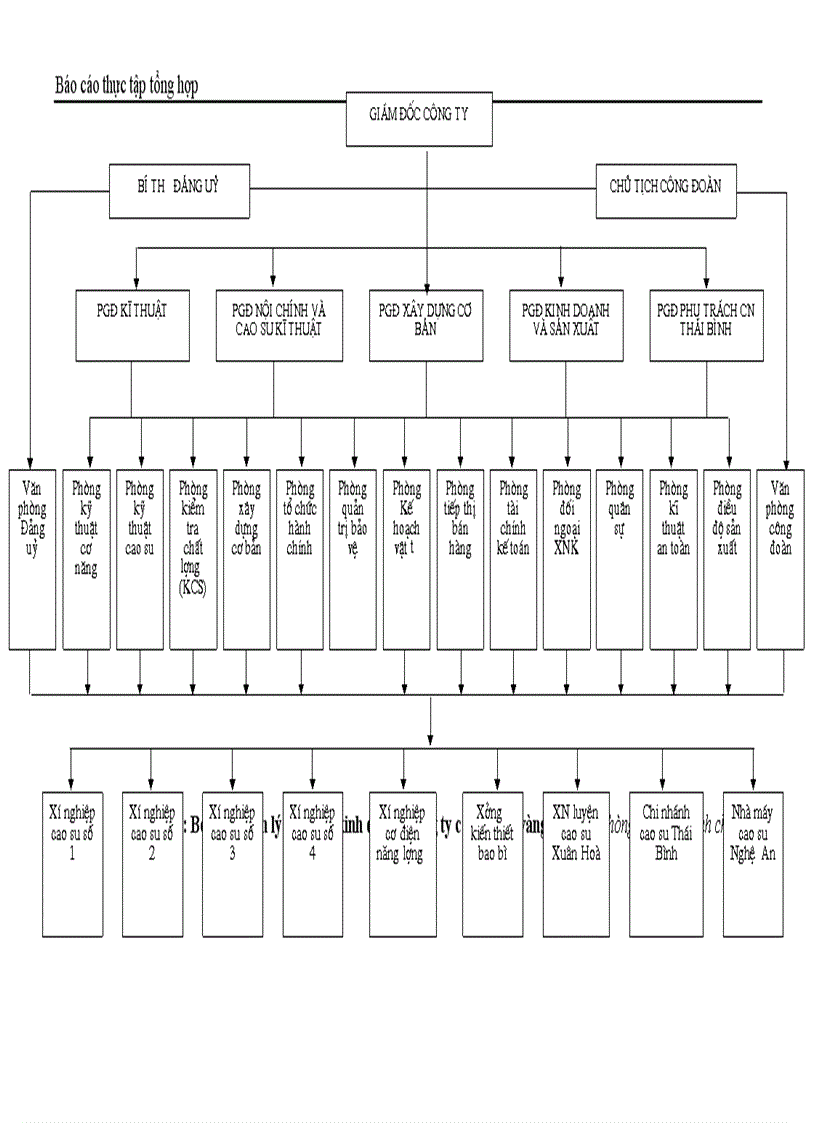 image for page Báo cáo thực tập tổng hợp về Công ty Cao su Sao vàng