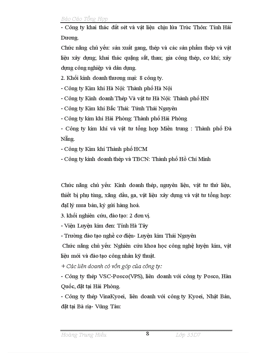 image for page Báo cáo tổng hợp về Tổng công ty thép Việt Nam