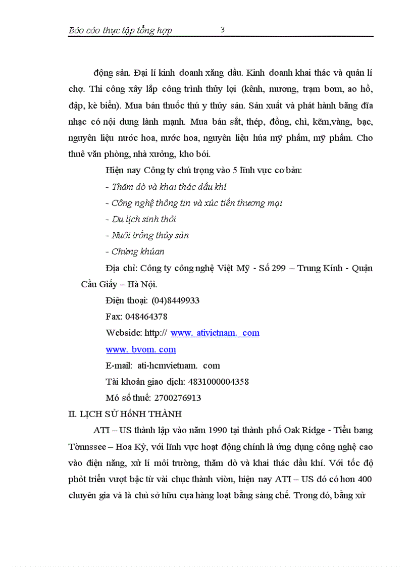 image for page Công ty trách nhiệm hữu hạn công nghệ Việt Mỹ