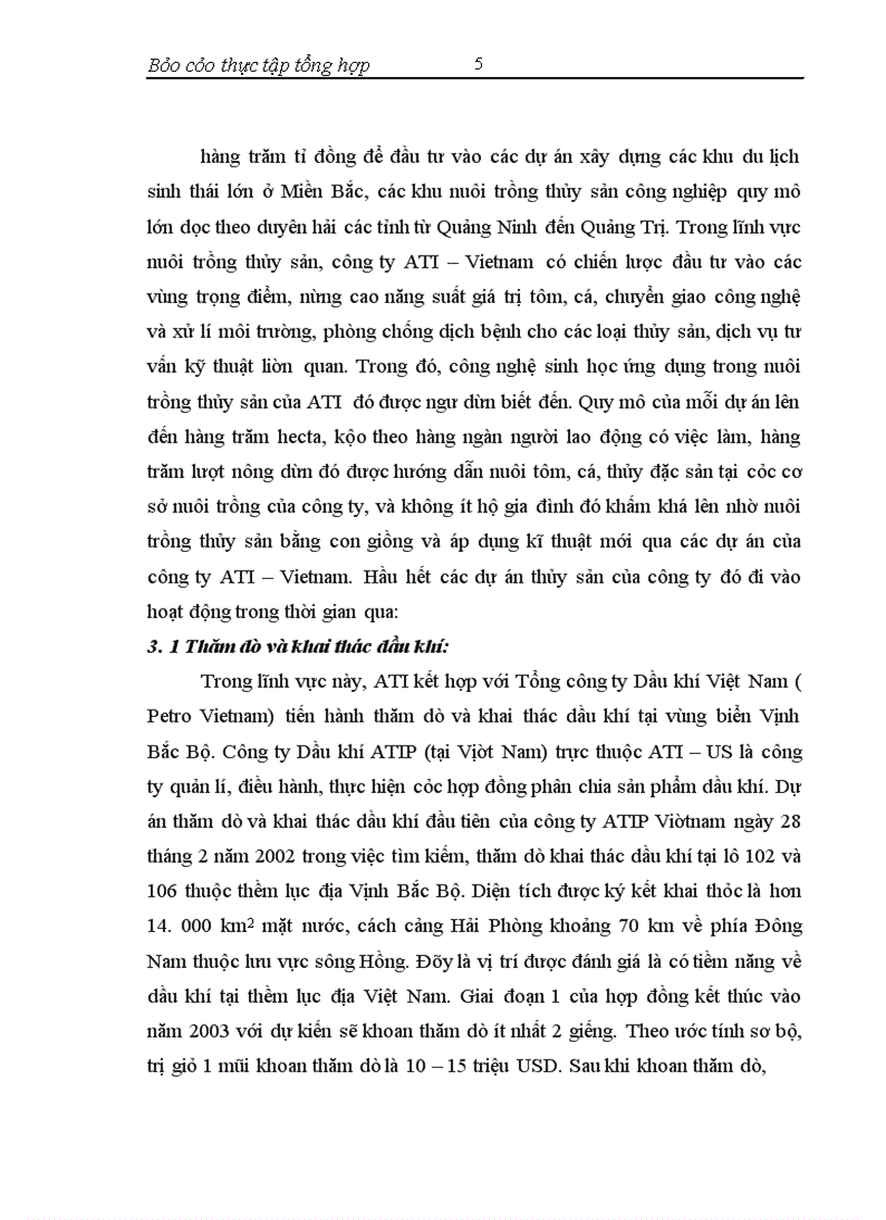 image for page Công ty trách nhiệm hữu hạn công nghệ Việt Mỹ