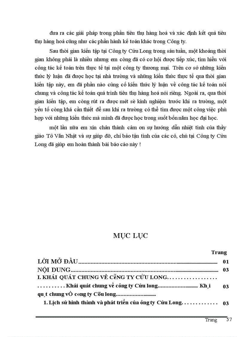 image for page Thực trạng công tác kế toán quá trình tiêu thụ và xác định kết quả tiêu thụ hàng hoá tại Công ty Cửu Long