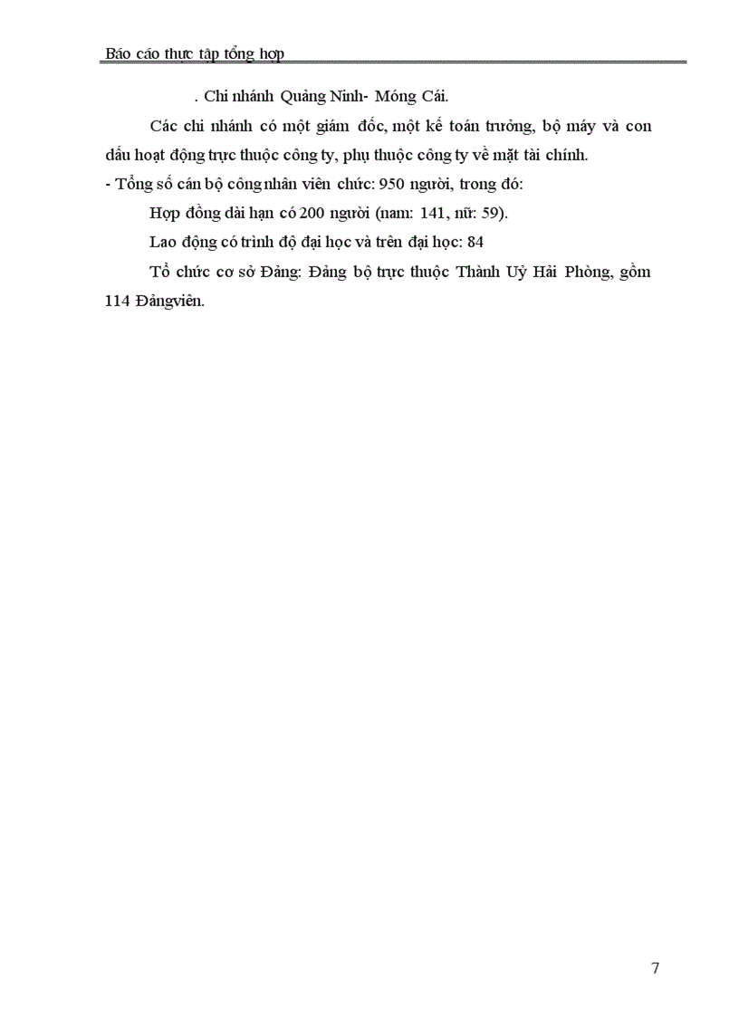 image for page Báo cáo thực tập tại Công ty Thương mại Dịch vụ và Xuất nhập khẩu Hải Phòng