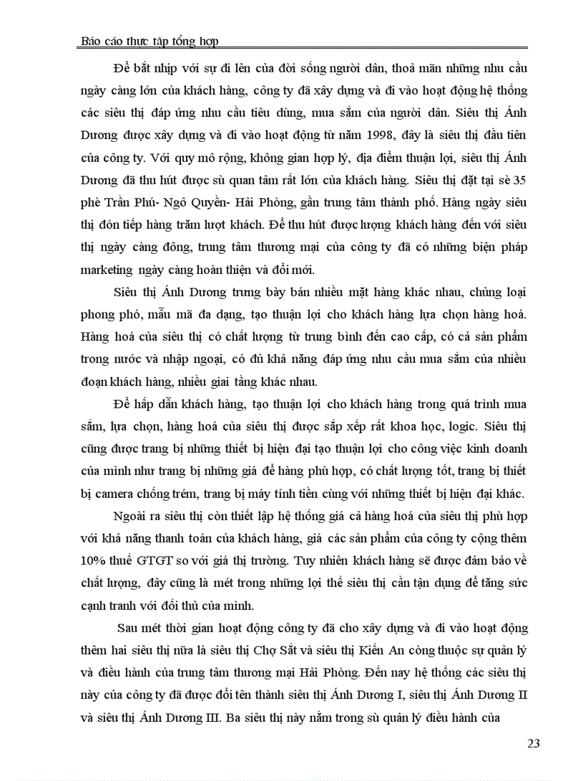 image for page Báo cáo thực tập tại Công ty Thương mại Dịch vụ và Xuất nhập khẩu Hải Phòng