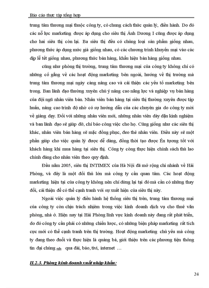 image for page Báo cáo thực tập tại Công ty Thương mại Dịch vụ và Xuất nhập khẩu Hải Phòng