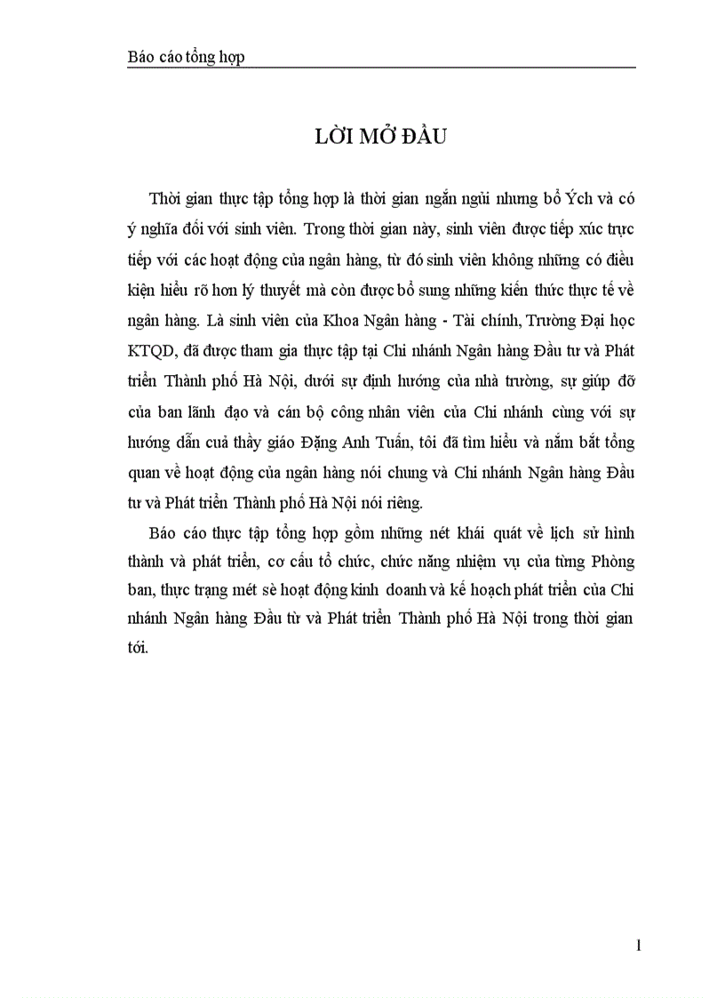 image for page Báo cáo thực tập tại Ngân hàng Đầu tư và Phát triển