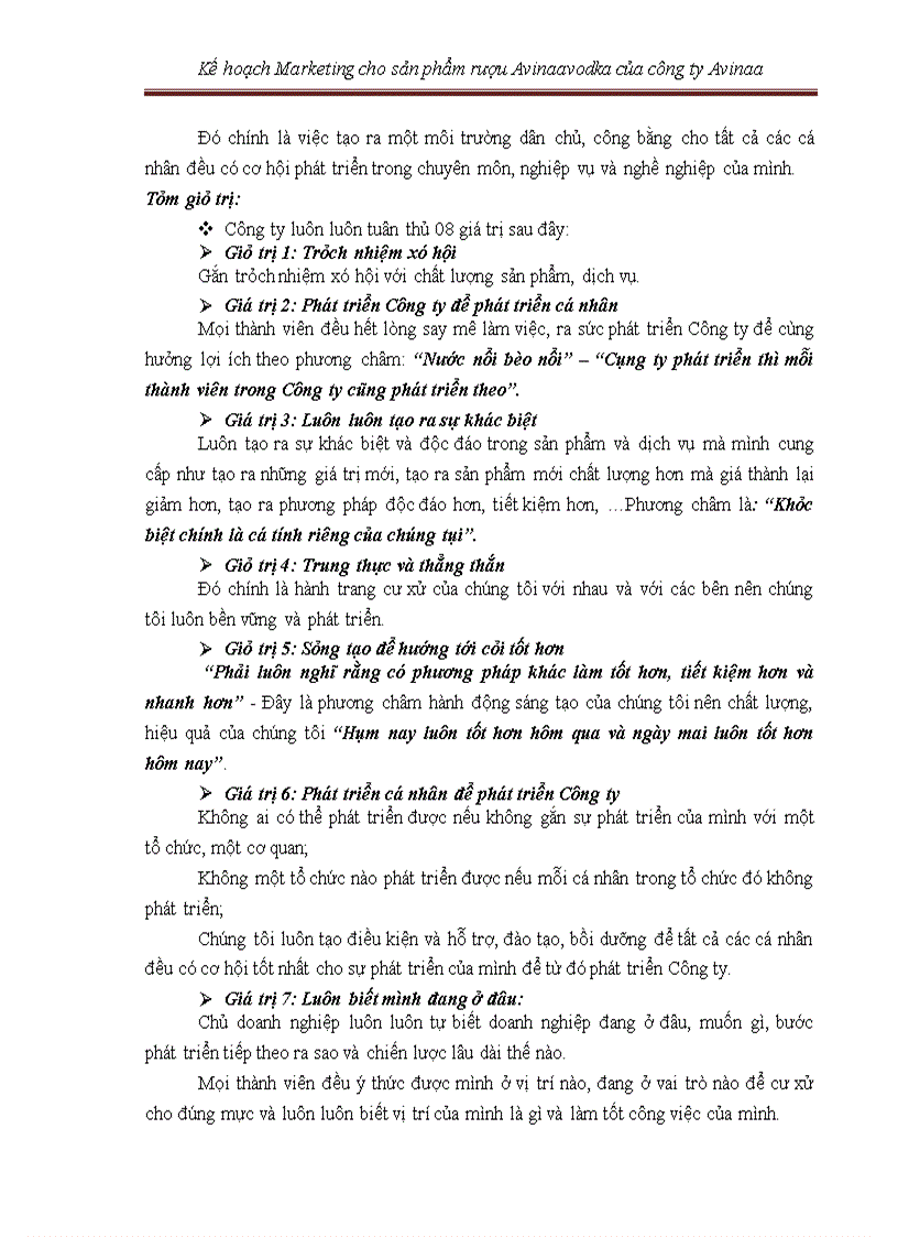 image for page Kế hoạch marketing cho sản phẩm rượu avinaaavodka của công ty avinaa hà nội – 05