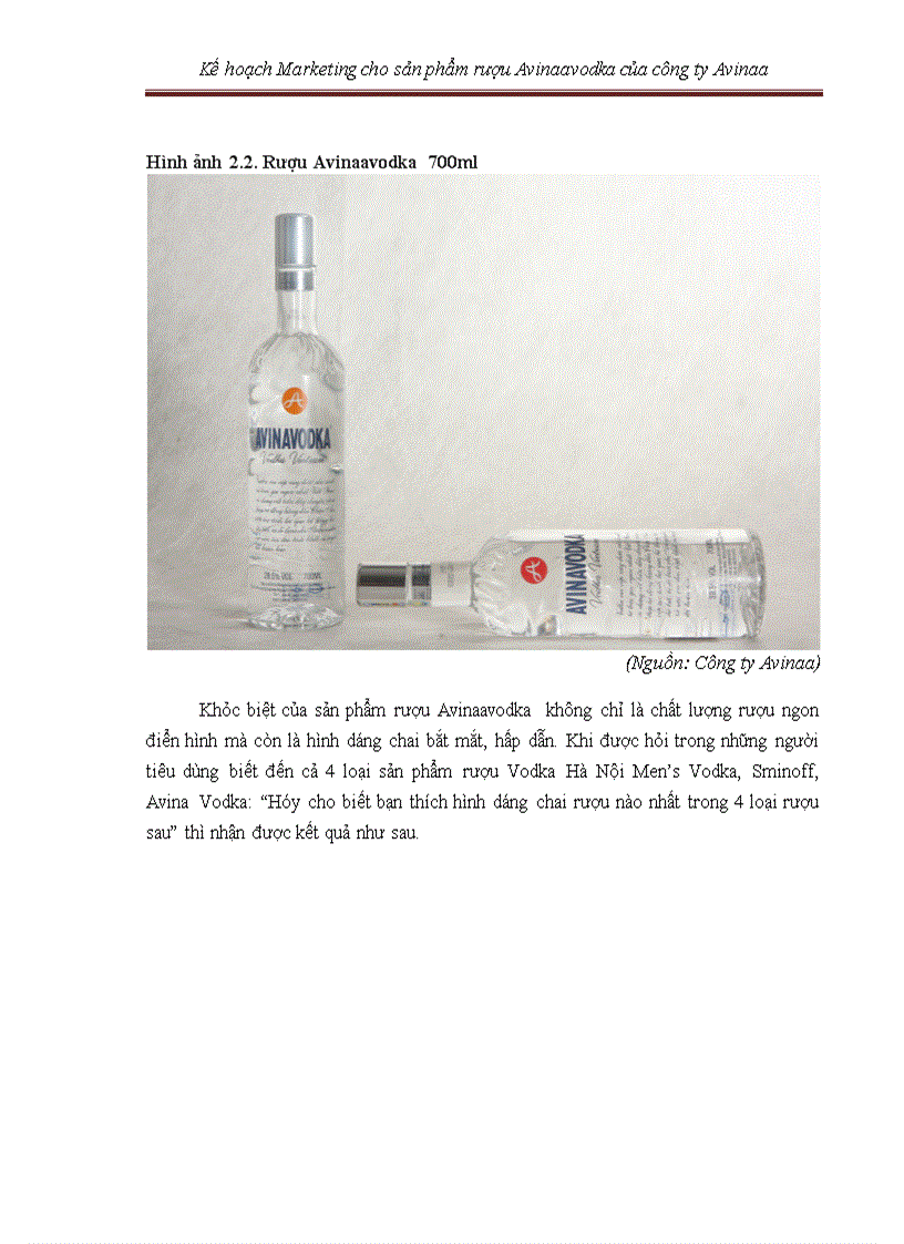 image for page Kế hoạch marketing cho sản phẩm rượu avinaaavodka của công ty avinaa hà nội – 05