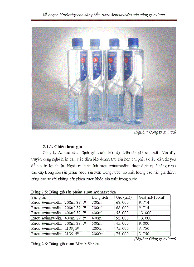 image for page Kế hoạch marketing cho sản phẩm rượu avinaaavodka của công ty avinaa hà nội – 05