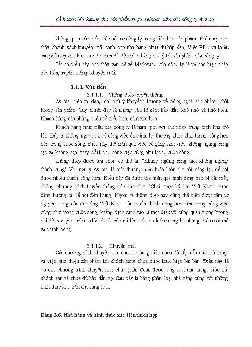 image for page Kế hoạch marketing cho sản phẩm rượu avinaaavodka của công ty avinaa hà nội – 05