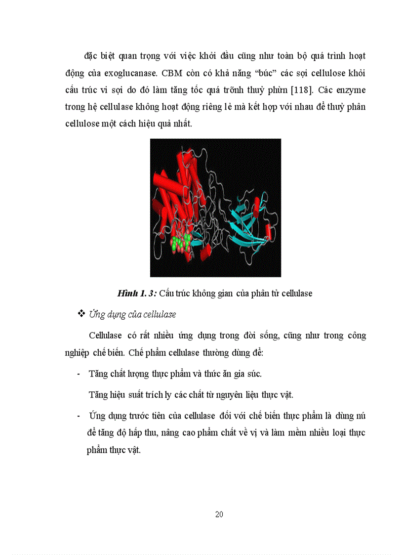 image for page Xác định hoạt tính một số enzyme ngoại bào của vi khuẩn Lactic phân lập từ các sản phẩm lên men truyền thống tại Hà Nội