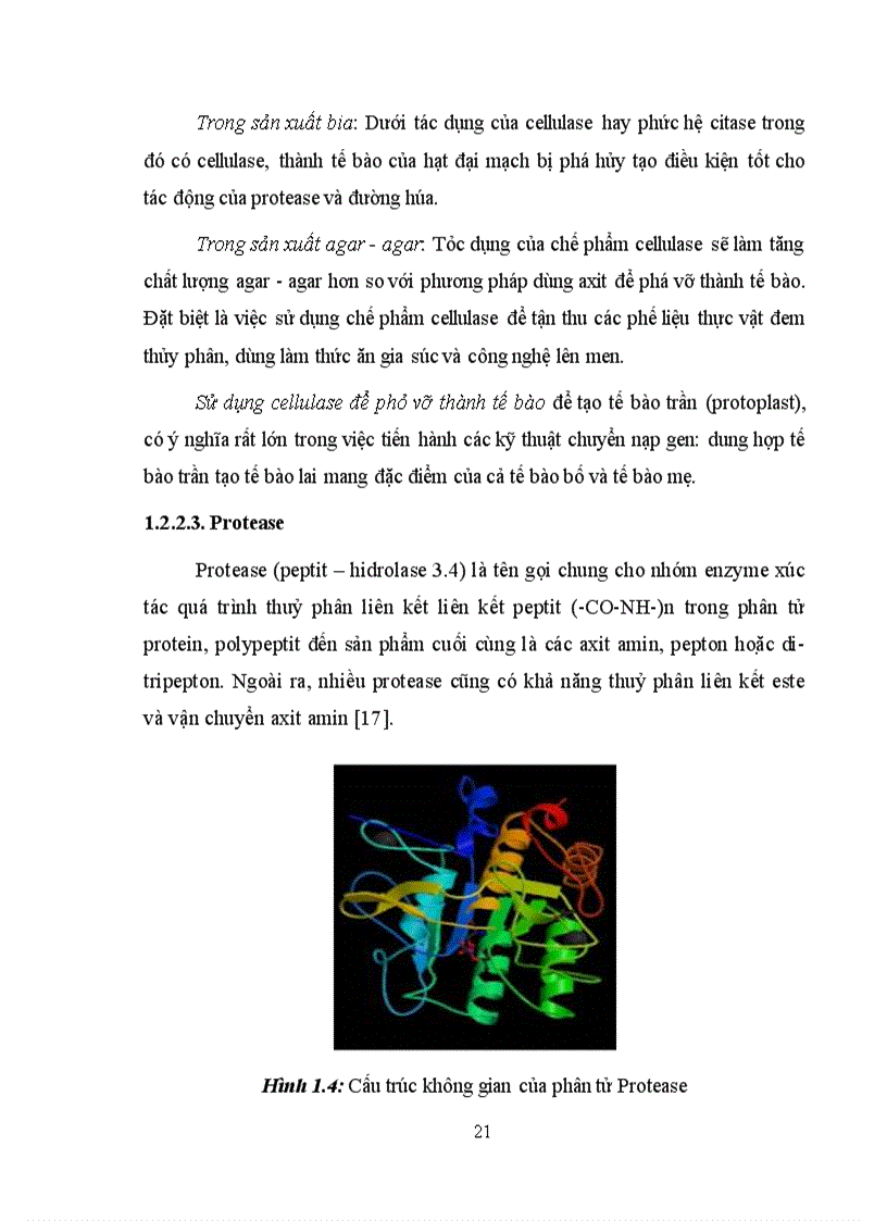 image for page Xác định hoạt tính một số enzyme ngoại bào của vi khuẩn Lactic phân lập từ các sản phẩm lên men truyền thống tại Hà Nội