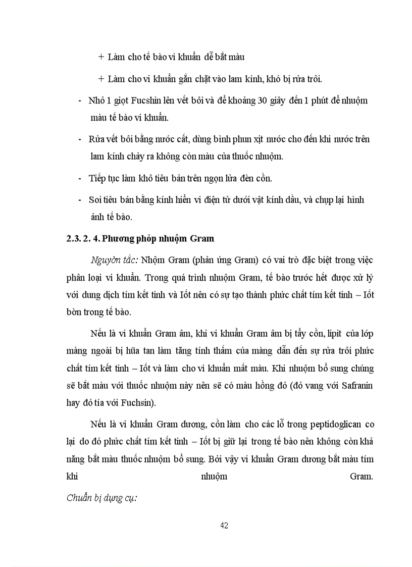 image for page Xác định hoạt tính một số enzyme ngoại bào của vi khuẩn Lactic phân lập từ các sản phẩm lên men truyền thống tại Hà Nội