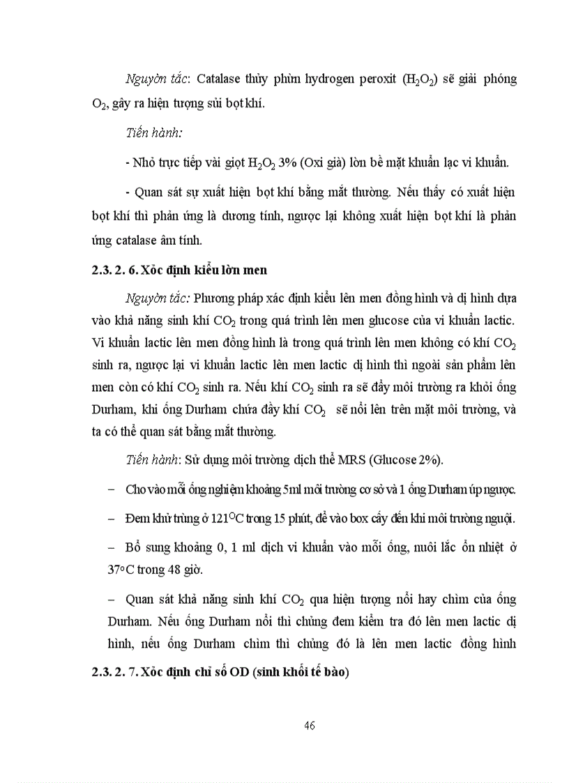 image for page Xác định hoạt tính một số enzyme ngoại bào của vi khuẩn Lactic phân lập từ các sản phẩm lên men truyền thống tại Hà Nội