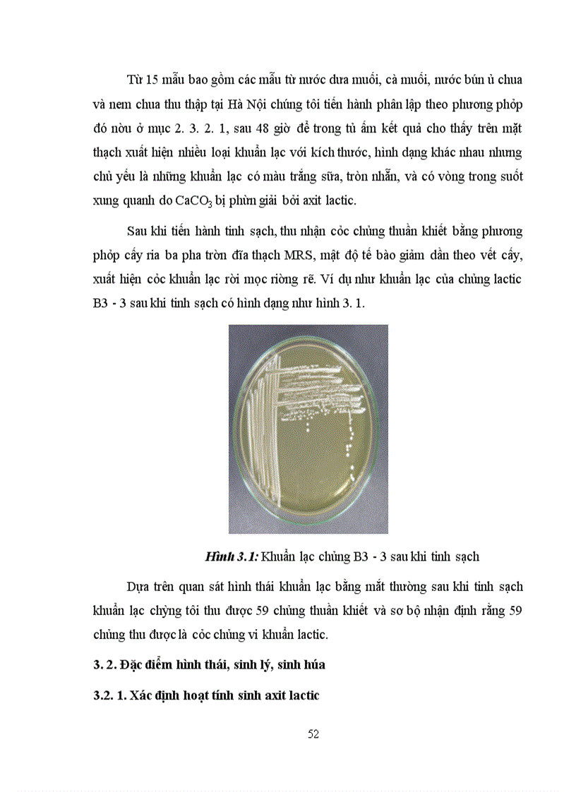 image for page Xác định hoạt tính một số enzyme ngoại bào của vi khuẩn Lactic phân lập từ các sản phẩm lên men truyền thống tại Hà Nội