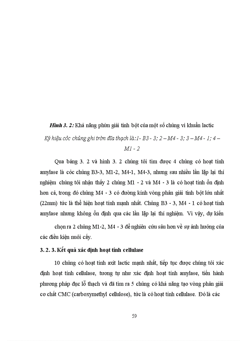 image for page Xác định hoạt tính một số enzyme ngoại bào của vi khuẩn Lactic phân lập từ các sản phẩm lên men truyền thống tại Hà Nội