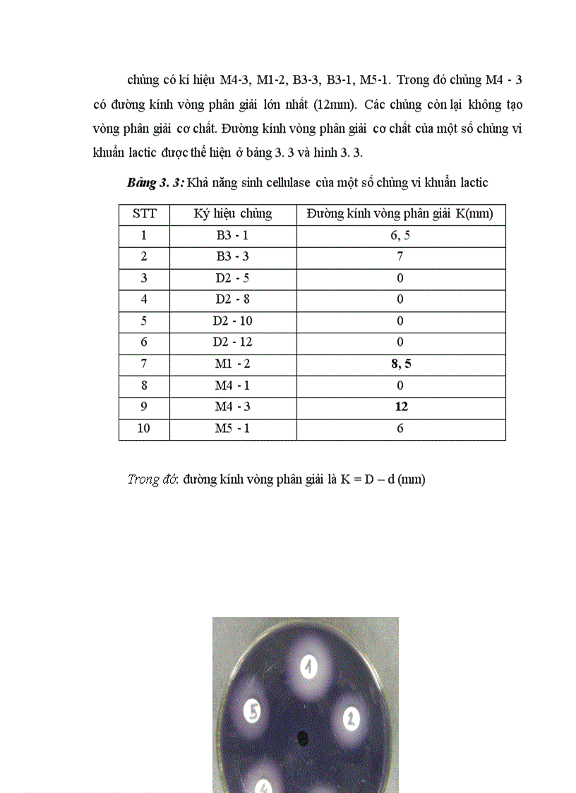 image for page Xác định hoạt tính một số enzyme ngoại bào của vi khuẩn Lactic phân lập từ các sản phẩm lên men truyền thống tại Hà Nội