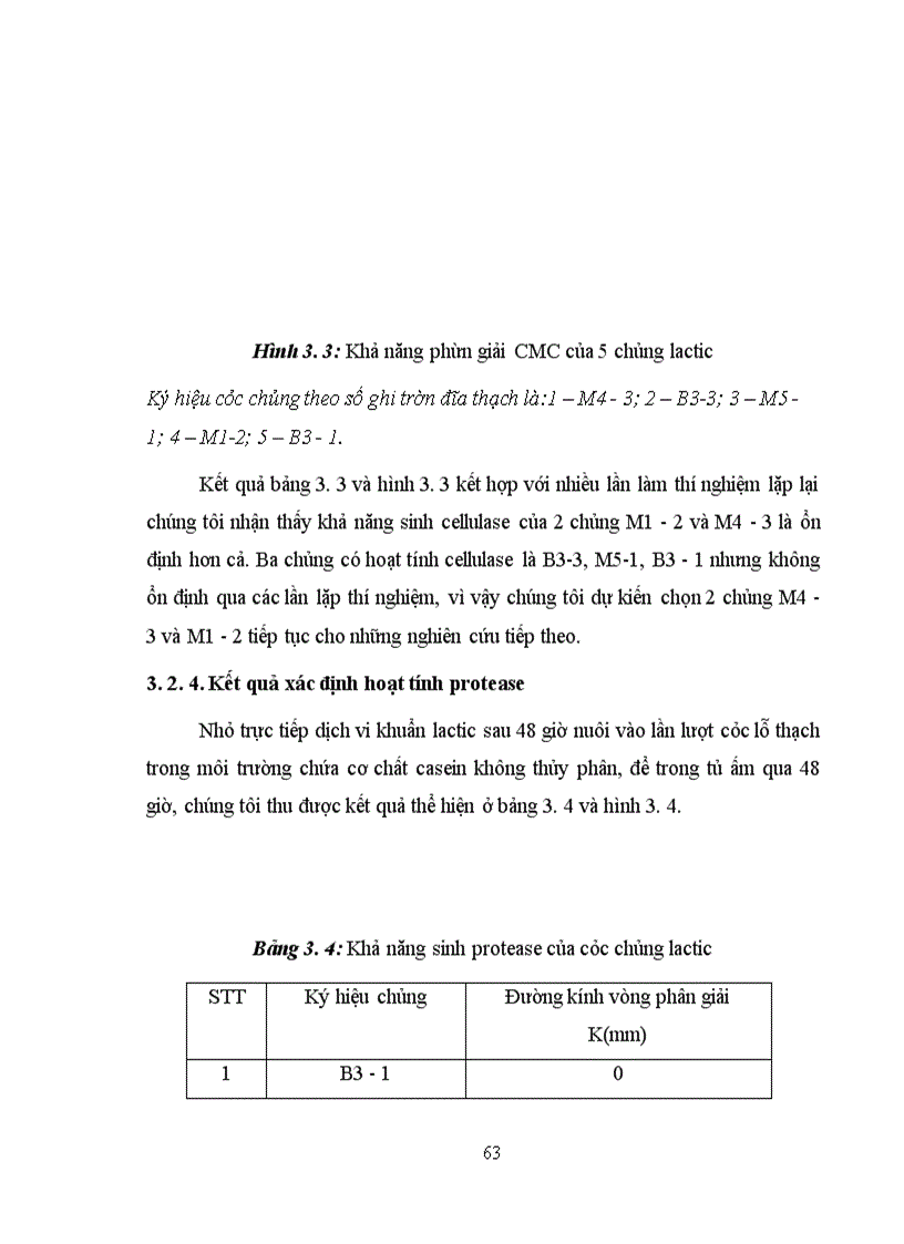 image for page Xác định hoạt tính một số enzyme ngoại bào của vi khuẩn Lactic phân lập từ các sản phẩm lên men truyền thống tại Hà Nội