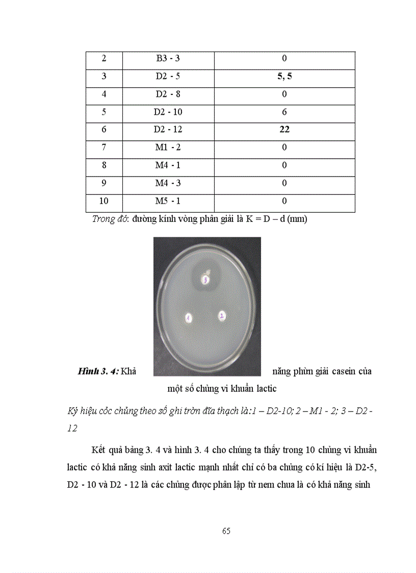 image for page Xác định hoạt tính một số enzyme ngoại bào của vi khuẩn Lactic phân lập từ các sản phẩm lên men truyền thống tại Hà Nội