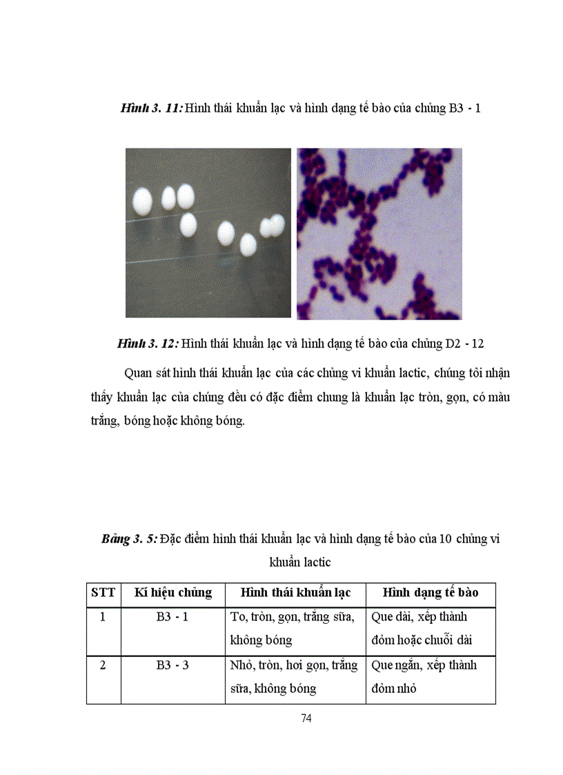 image for page Xác định hoạt tính một số enzyme ngoại bào của vi khuẩn Lactic phân lập từ các sản phẩm lên men truyền thống tại Hà Nội