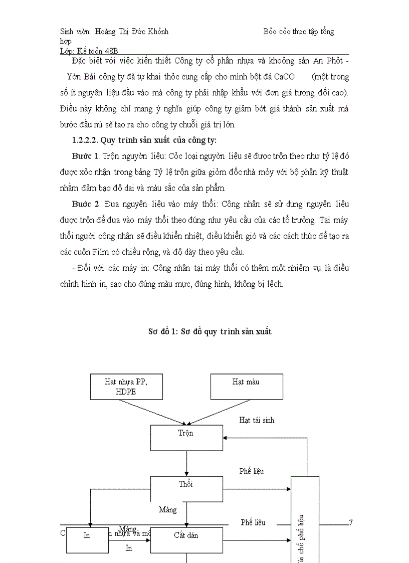 image for page Báo cáo thực tập tổng hợp Công ty cổ phần Nhựa và Môi trường xanh An Phát