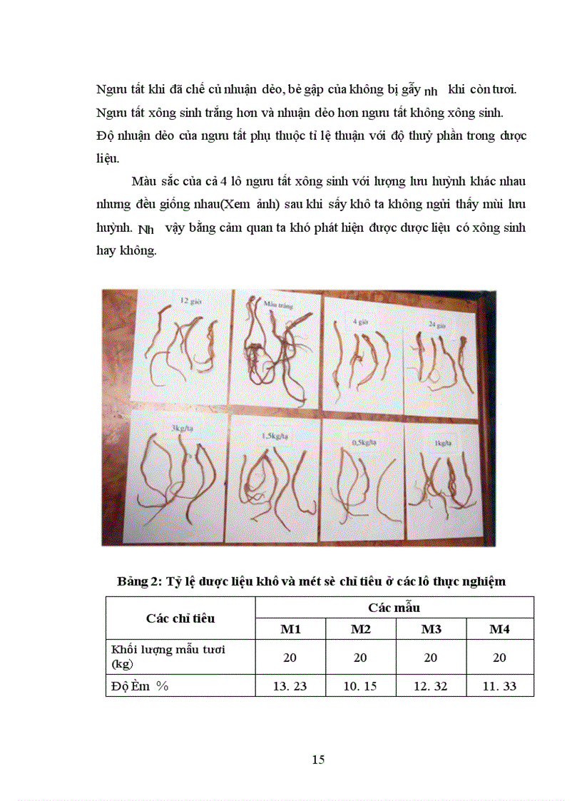 image for page Nghiên cứu về ngưu tất