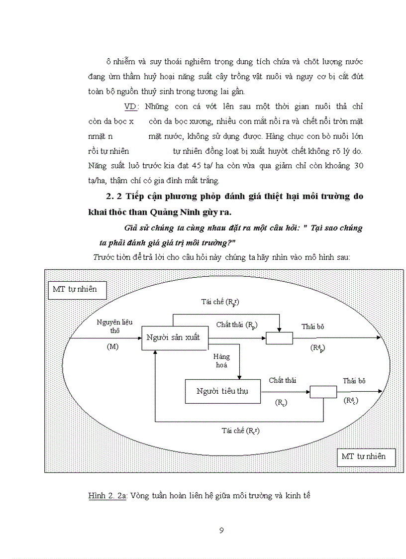image for page Báo cáo thực tập về than ở Quảng Ninh