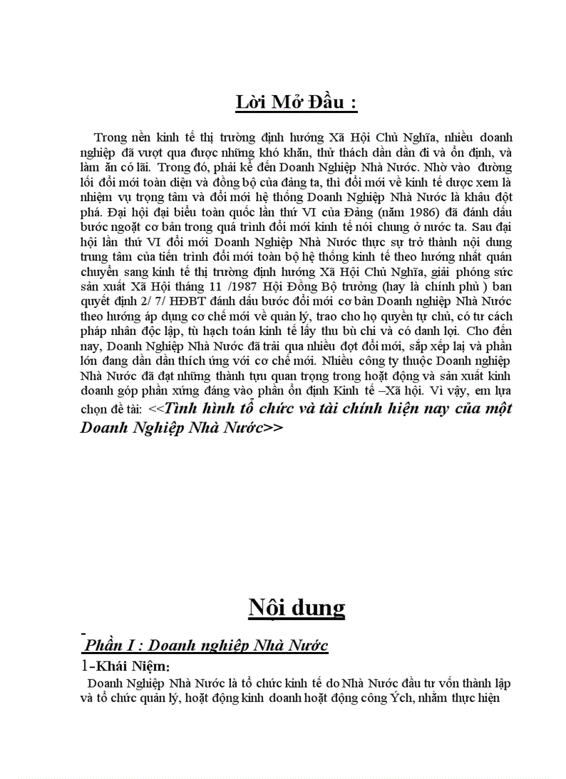 image for page Tình hình tổ chức và tài chính hiện nay của một Doanh Nghiệp Nhà Nước