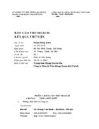 Báo cáo thu hoạch kết quả thử việc tại Công ty Điện tử Viễn thông Quân đội