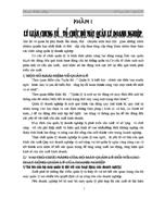 Lý luận chung về tổ chức bộ máy quản lý Doanh nghiệp