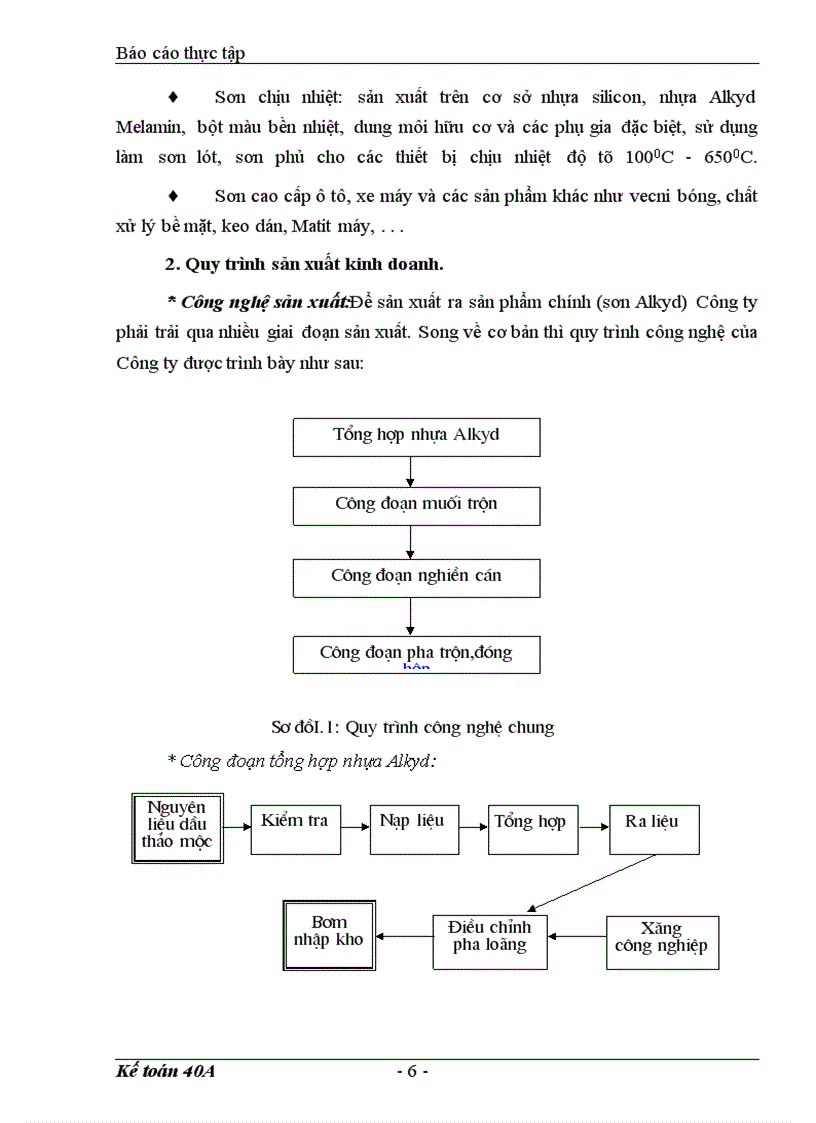 image for page Báo cáo tổng hợp tình hình tổ chức bộ máy kế toán và công tác kế toán của Công ty Sơn tổng hợp Hà Nội.